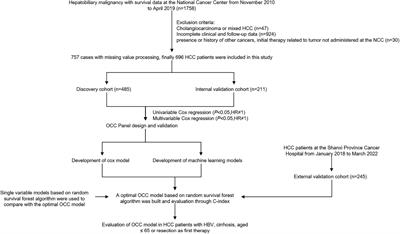 The prognostic role of an optimal machine learning model based on clinical available indicators in HCC patients